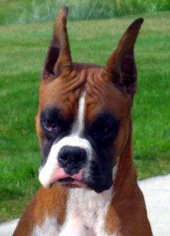Abby