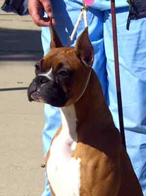 Baron