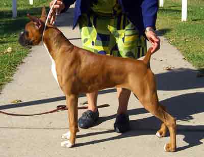 Baron