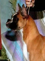 Abby