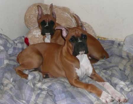 Kira & Patton